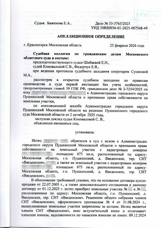 Первый лист апелляционного определения по делу 33-3763/2025